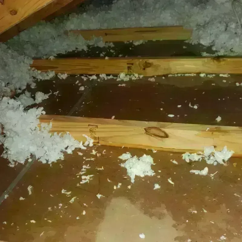 Attic Water Damage in Williamstown, MA